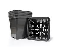 Elixir Gardens Square Plant Pot | 0.75 Litre Black Recycled Plastic Nursery/Seedling or Cutting Pots (9cm x 9cm x 10cm) x 50