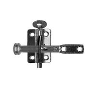 Eliza Tinsley Galvanised Small Auto Gate Catch Product Finish: Bright Auto Gate Catch