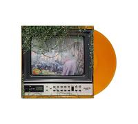 Elizabeth Cook - Great Television [VINYL]