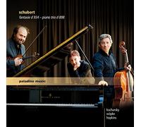 Elizabeth Hopkins | Boris Kucharsky | Peter Wöpke - Schubert: Fantasie d 934 - Piano trio d 898 - Impromptu d 935/2