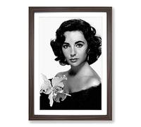 Elizabeth Taylor (1) Framed Print | A2 Walnut Framed Wall Art | Ready to Hang | Modern Nature Picture | Living Room Bedroom Lounge Office
