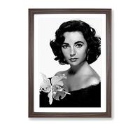 Elizabeth Taylor No.1 Modern Framed Print | A3 Walnut Framed Wall Art | Ready to Hang | Modern Nature Picture | Living Room Bedroom Lounge Office