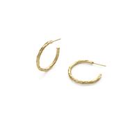 Elk & Bloom 14K Medium Gold Thin Hoop Earrings - Gold - No thank you