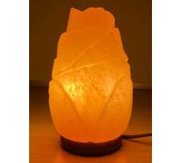 Elkoza Flower Salt Lamps Handmade Wood Silhouette Natural Healing IONES Therapeutic 100% Pure Himalayan Pink Crystal Salt Lamp Fine Quality (Flower Salt Lamp Himalayan)