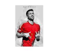 ELKPDOE David Villa Poster Football Canvas Poster Bedroom Decor Landscape Office Room Decor Gift Unframe:12x18inch(30x45cm)