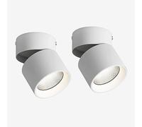 Elksdut LED Surface Mounted Spotlight Small Ceiling Spot Light, Adjustable Angle Rotation Directional Downlight Accent Lamps, Bedroom Drawing Room Gallery Spotlights Background Wall Porch Ceiling Ligh