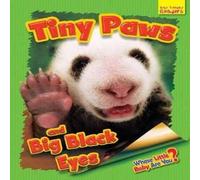 Ellen Lawrence Whose Little Baby Are You? Tiny Paws & Big Black Eyes Paperback Book Ellen Lawrence Multicolor