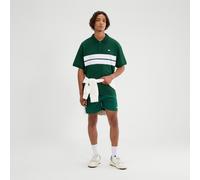 Ellesse Mens Sbarri Polo Shirt (Dark Green) Cotton - Size Large