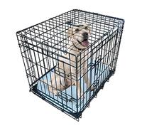 Ellie-Bo Black Deluxe XXL 48-inch Folding 2-Door Dog Cage/Crate with Metal Tray and Dog Bed Mat