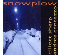 Elliott Sharp & Andrea Centazzo - Snowplow