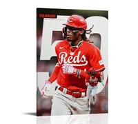 Elly De La CruzWaterproof Posters Wall Art Posters Waterproof Home Printing Moisture-proof Easy to Install And Fade ResistantFrame-style16x24inch(40x60cm)