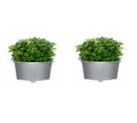 ELMORA'Z 55cm Large Oval Planter Pot Indoor & Outdoor Garden Flower Pot Plastic Trough & Raised Planter Window Herb Box with DIY Drainage Holes (Pack Of 2) Grey