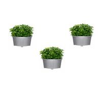 ELMORA'Z 55cm Large Oval Planter Pot Indoor & Outdoor Garden Flower Pot Plastic Trough & Raised Planter Window Herb Box with DIY Drainage Holes (Pack Of 3) Grey