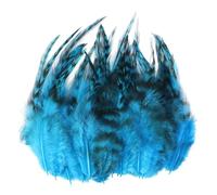 Elnwnnkc 100Pcs Natural Pheasant Plumage for Clothing Accessories and Decorations Stage Execution Quills
