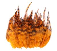 Elnwnnkc 100Pcs Natural Pheasant Plumage for Clothing Accessories and Decorations Stage Execution Quills