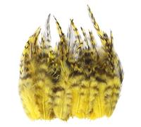 Elnwnnkc 100Pcs Natural Pheasant Plumage for Clothing Accessories and Decorations Stage Execution Quills