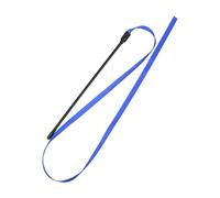 Elnwnnkc 10pieces / Set Cats Wand Toy Rainbow Color Double Sided Cats Teaser Wand Interactive Stick Toy Chasing Stick for Indoor Small Long Attachments