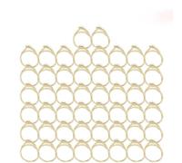 ELODEK violin parts accessories 1-50Pcs Violin Bow Horse Hair White Bow Hair For 4/4 Bow Violin Accessories (Color : 50pcs)
