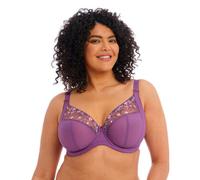 Elomi Charley Plunge Bra - Pansy - 44DD