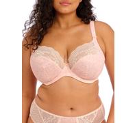 Elomi Bra Lucie Underwired Plunge Three-Section Stretch Lace 38GG Pale Blush