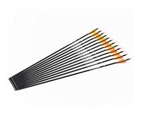 ELONG OUTDOOR 28 30 31Inch Carbon Arrow Archery Hunting Targeting Arrows with 100 Grain Removable Tips for Archery Compound & Recurve Bow & Traditional Bow Target Practice Shooting