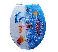 Elongated Toilet Seat with Slow Close Seat, Easy Clean, Suitable Standard Elongated Or Oval Toilet with Thickened Resin Lid, Resin Toilet Lid