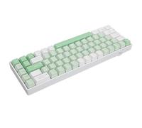 Elprico Mechanical Keyboard,68 Key Mechanical Gaming Keyboard, 2.4G BT Type C RGB Keyboard for 2000 ME XP