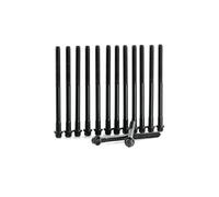 Cylinder head bolt set Male Torx 820.229 ELRING for BMW BERTONE