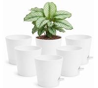Elsjoy 6 Pack Self Watering Plant Pots, 16.5cm (6.5 Inch) White Plastic Planter with Easy-Fill Watering Lip & Drainage Tray - Mess-Free Indoor Flower Pots for House Plants, Herbs, Succulents, Garden