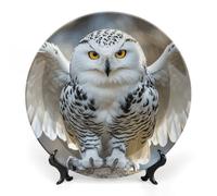 ELUZZIZUT Ceramic Decorative Plate with Display Stand Round Porcelain Snow Owl Plate Ornaments Wall Hanging Decor Personalized Gifts for Kitchen Dining Home Office 7inch