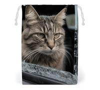 ELUZZIZUT Drawstring Storage Bag Reusable Gym String Bags Cat Smashes Glass in Car Sports Cinch Sack for Swimming Beach Travel
