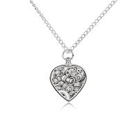 ELUZZIZUT Part Element Pet Cremation Jewelry for Ashes Heart Pendant Locket Urn Necklace Personalized Memorial Keepsake Necklace for Women Men to Hold Ashes of Loved Ones