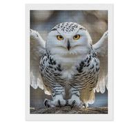 ELUZZIZUT Snow Owl Diamond Art Painting Kits for Adults Round Full Drill Diamond Dots Paintings 5d Personalized Drill Painting for Beginner Home Wall Decor Custom Art 12"x16"
