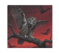 ELUZZIZUT Square Owl Seat Cushion Removable Cover Memory Foam Chair Pad Washable Chair Cushion with Zipper Breathable Outdoor Indoor Floor Pillow for Patio Home