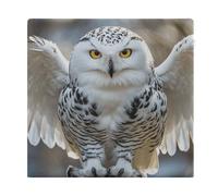 ELUZZIZUT Square Snow Owl Seat Cushion Removable Cover Memory Foam Chair Pad Washable Chair Cushion with Zipper Breathable Outdoor Indoor Floor Pillow for Patio Home