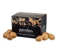 Elveden Fresh British Baking Potatoes 60's - 60x