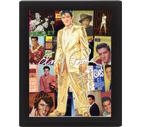 Elvis Presley Albums 3D Lenticular Poster, Multi-Colour, 10 x 8-Inch