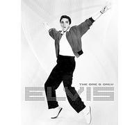Elvis Presley plate arms in the air 41x32 cm tole USA