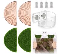 elyelsanns 2 in 1 Jumping Spider Enclosure Accessories - Magnetic Feeding Dish with Jumping Wood Ledges | Acrylic Water Bowl Food Dish Habitat Decor for Tarantula Small Spider Reptile
