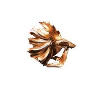 ELzEy Modern Creative Fighting Fish Wall Hanging Wall Decoration Model Living Room Porch Restaurant Shop Wall Decoration Wall(Gold)
