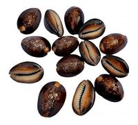 Emagnet TSS The Sanatan Setu Raj Laxhmi Black Kauri - 11 Pieces || Kaali Kodi for Puja || Pooja Set Cowrie,Cowrie for decorative purpose, kaudi for laxmi Puja
