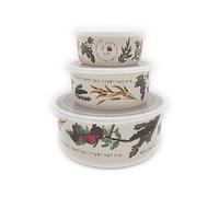 EMANUEL Set of 3 Melamine Food Storage Containers - Reusable Storage Lunch Boxes Plastic Lid - Unique Printed Designs (Seven Species BMB-21D)