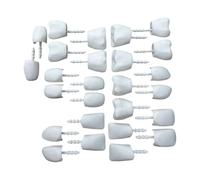 EMASDGEY Pumpkin Carving Teeth Set with Pointed Stems, Flat teeth | Pointed Stems, Raised White Tooth Shapes, Decorative Set for Creating Toothy Halloween Pumpkin