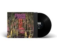 Embalmed In Decay [VINYL]