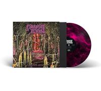 Embalmed In Decay [VINYL]