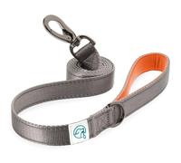 Embark Adventure Dog Leash - Colorful, Strong and Sturdy Nylon Leads for Small, Medium and Large Breed Dogs, Heavy Duty Training Leash (Orange)