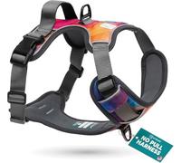 Embark Adventure No Pull Dog Harness, Heavy Duty Vest, Aurora Medium