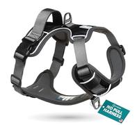 Embark Adventure No Pull Dog Harness, Heavy Duty Vest, Black Large