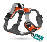 Embark Adventure No Pull Dog Harness, Heavy Duty Vest, Orange Medium