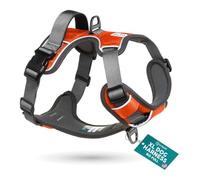 Embark Adventure No Pull Dog Harness, Heavy Duty Vest, Orange X-Large